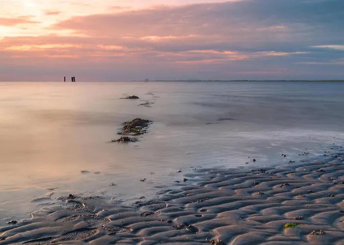 Wattwurm * Dagebüll